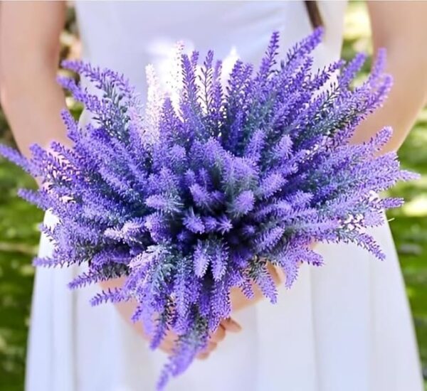 All Seasons Lavender Flower Tree Healthy Live Plant For Home Garden - Image 2