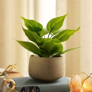 Artificial Plants Table Decor