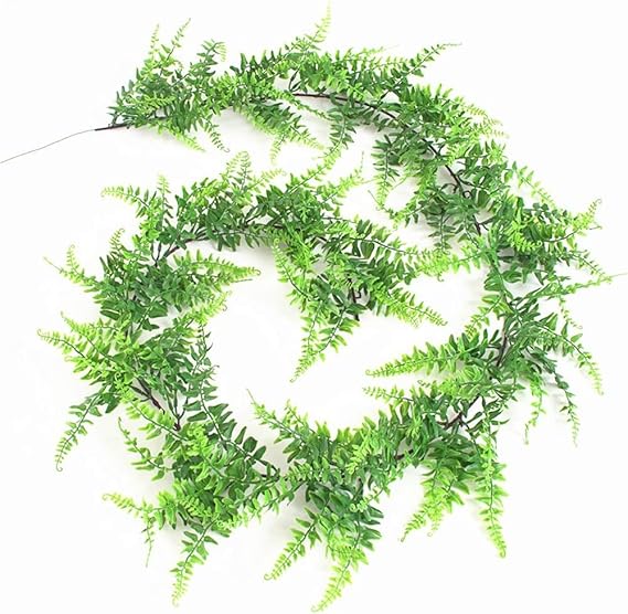 Decor plant in online plant store