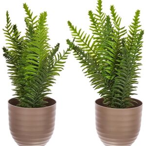 Realistic Fern Artificial Plant
